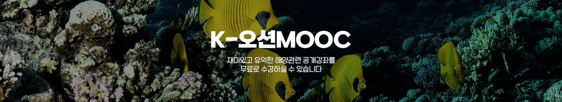 k-오션 mooc 재미있고 유익한 해양관련공개강좌를 무료로 수강하실 수 있습니다