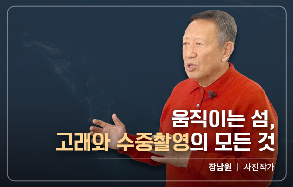 움직이는 섬, 고래와 수중촬영의 모든 것